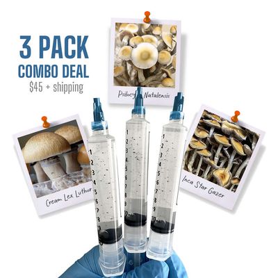 3 Pack Combo Deal - CREAM | NATA | GAZER
