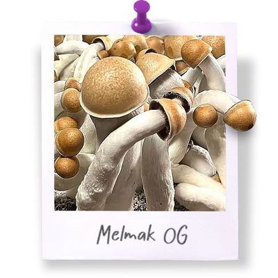 Melmak OG