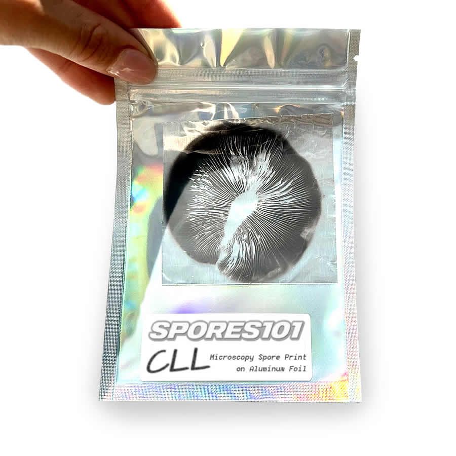 Cream Lex Luthor Spore Print