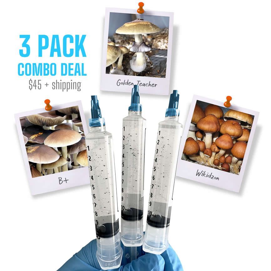 3 Pack Combo Deal GT | B+ | WIK