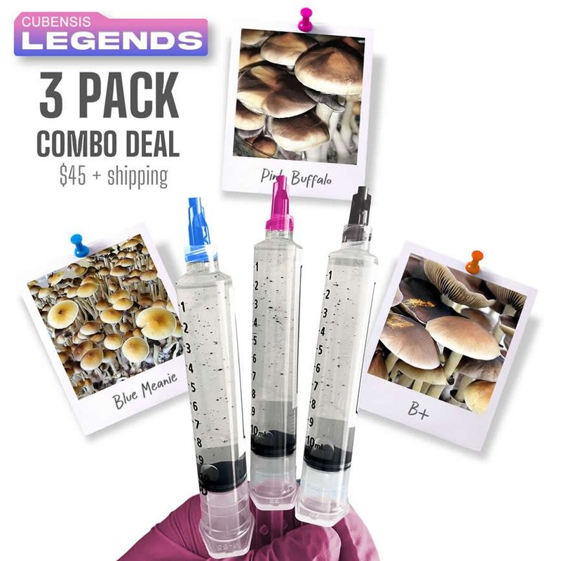 Legends 3 Pack Combo Deal BM | PB | B+