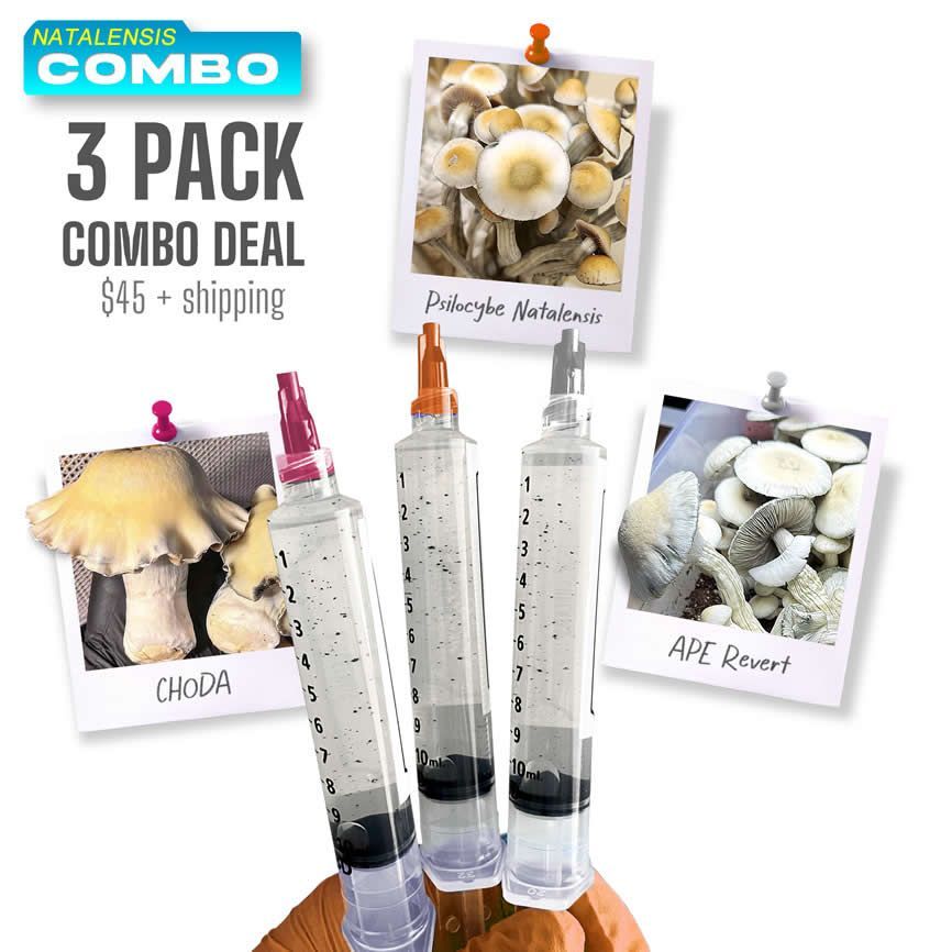 3 Pack Combo Deal - NATA | CHODA | APEr