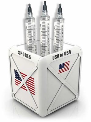 USA Shipping