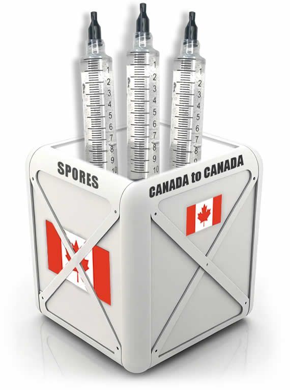 Canada Shipping