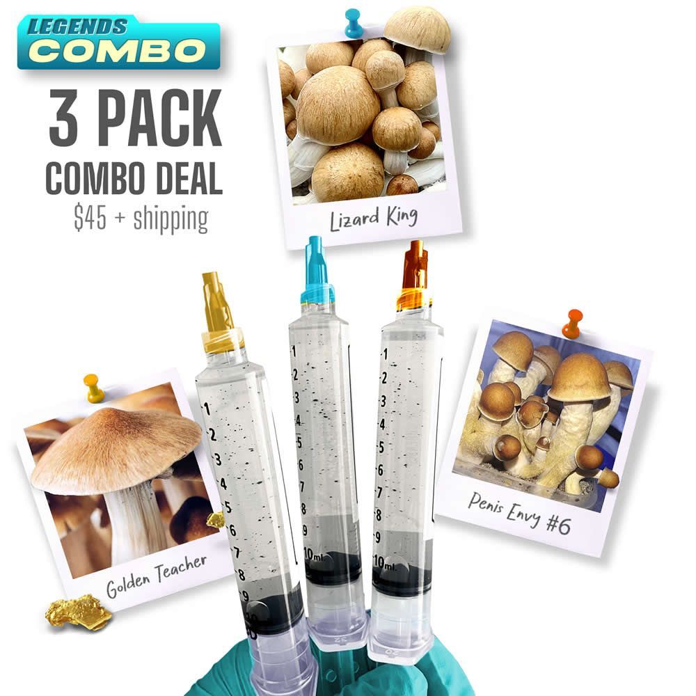 3 Pack Combo Deal - LIZK | GT | PE6