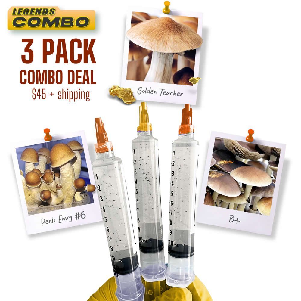3 Pack Combo Deal GT | B+ | PE6