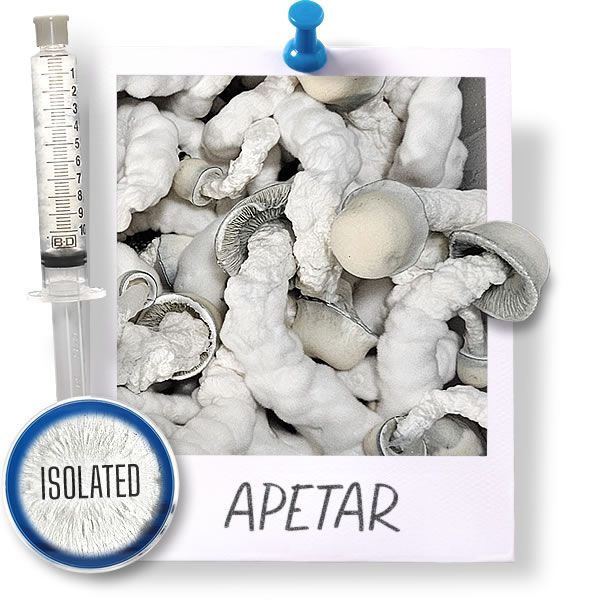 ApeTar - Isolated