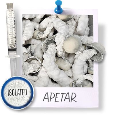 ApeTar - Isolated