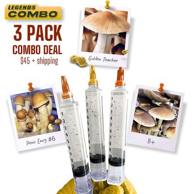 3 Pack Combo Deal GT | B+ | PE6