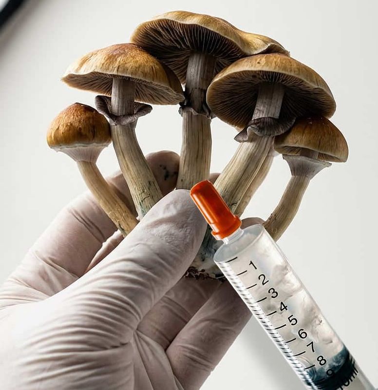 Amazon Isolated Culture