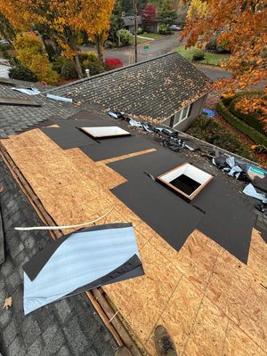 roof repair