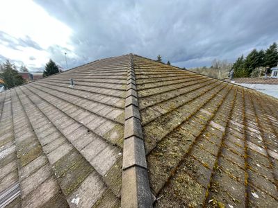 Roof Cleaning