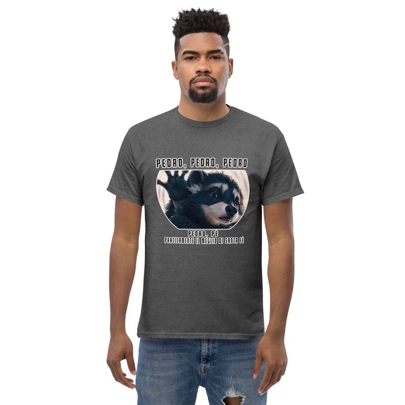 Pedro Raccoon