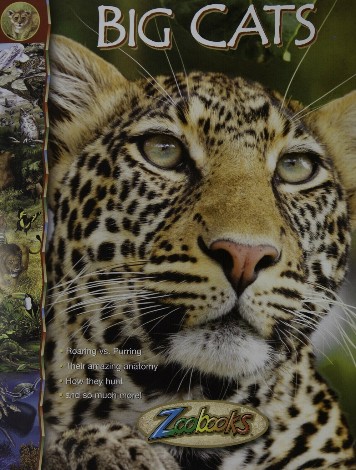Zoo Books Big Cats Gift Shop Animal Park At Conservators Center
