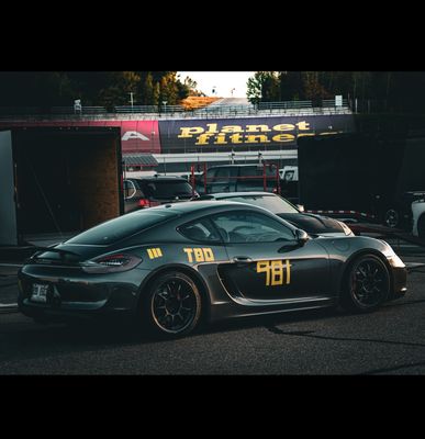 Porsche 981 Cayman and Boxster