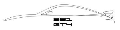 981 GT4/ Spyder / Clubsport (2015-2016)