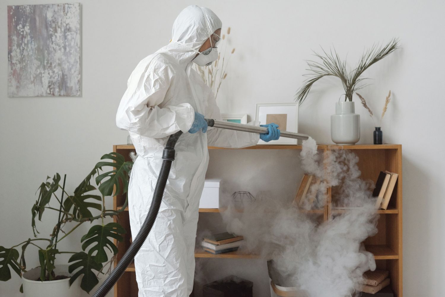 Fogger disinfecting
