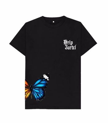 DC Butterfly Effect 2