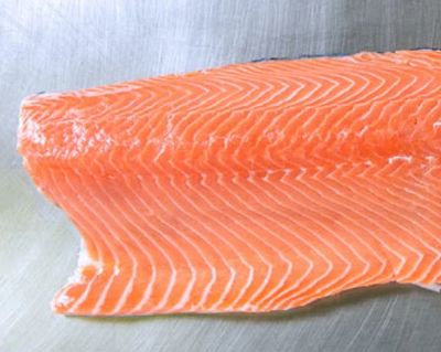 Salmon