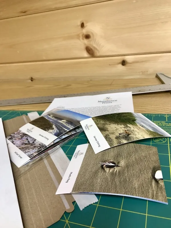 A sampling of paper choices in our sample pack.