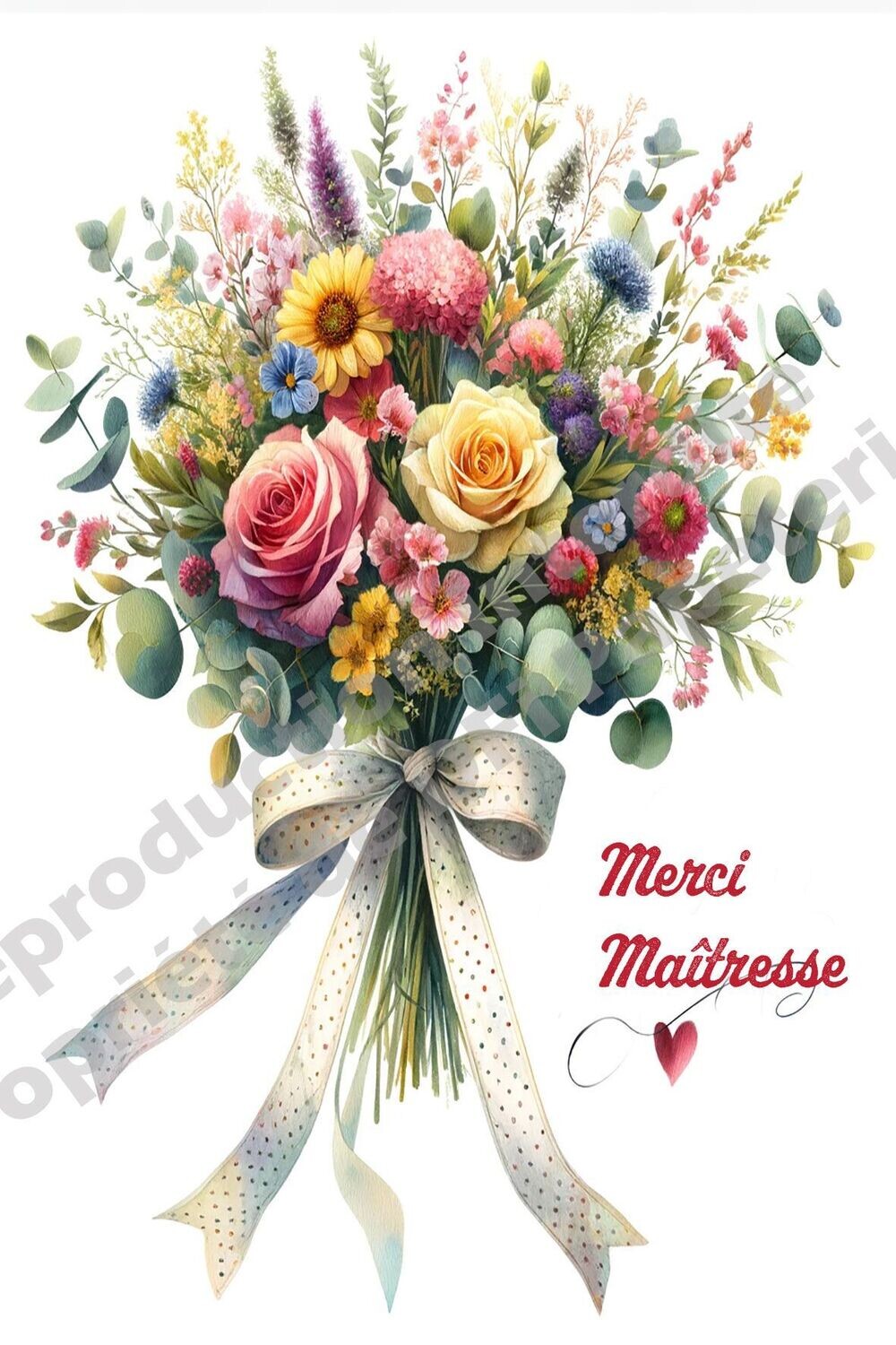 Merci Maîtresse