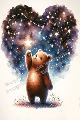 L'ours et l'étoile