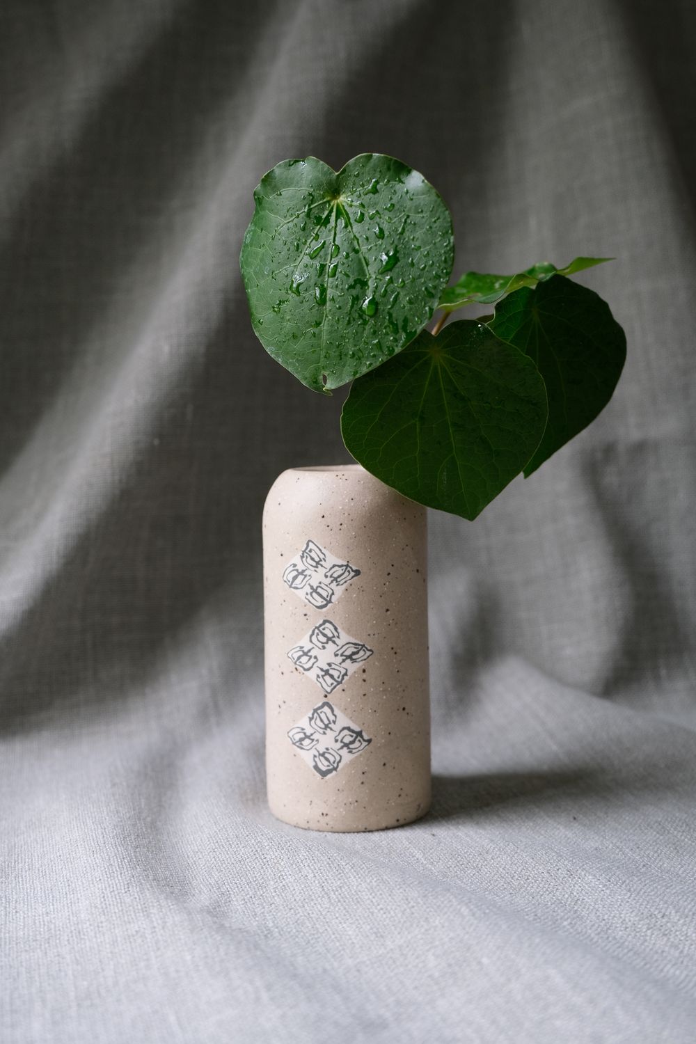 Tohu Vase - Mangōpare