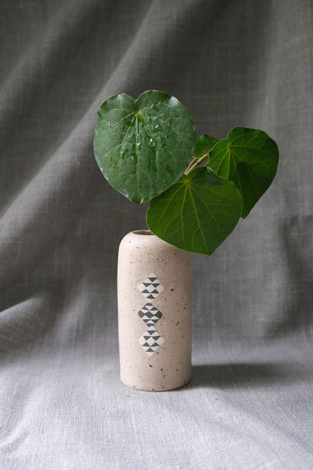 Tohu Vase - Black Pātiki
