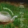 Symbi Cycle Harmony