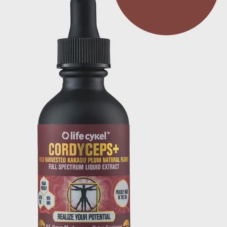 Lifecykel Cordyceps+
