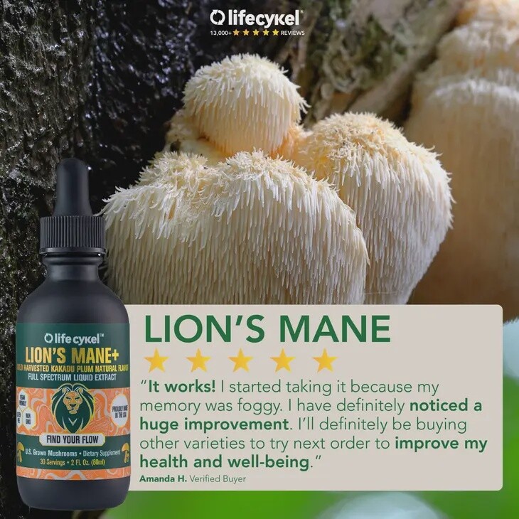 Lifecykel Lions Mane+