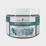 Feral Fungi Myco Synergy