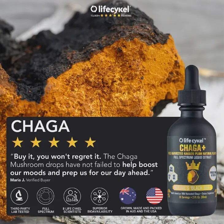 Life Cykel Chaga + Liquid Double Extract 4oz