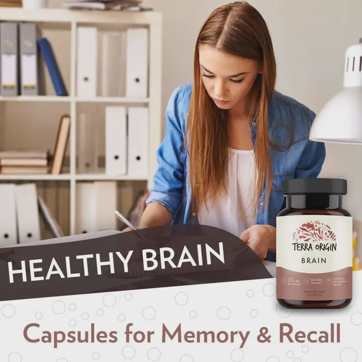Terra Origin Brain