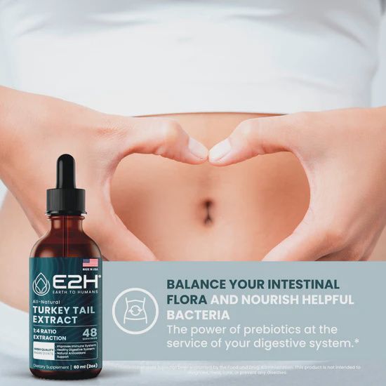 E2H Turkey Tail Extract 1:4 Ratio 48 Servings