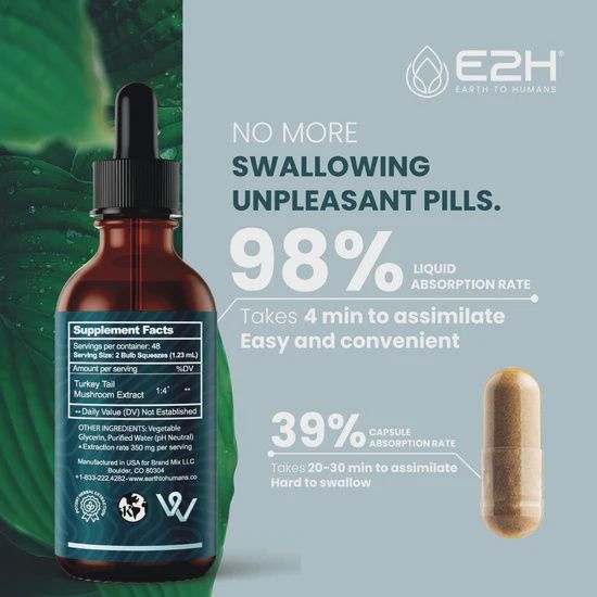 E2H Turkey Tail Extract 1:4 Ratio 48 Servings