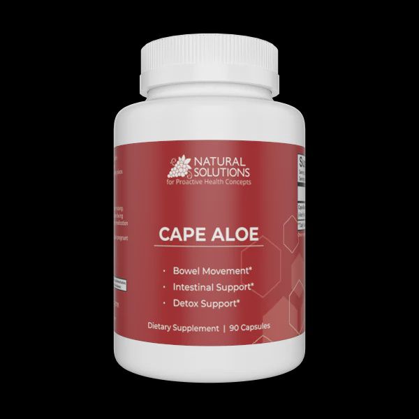 Cape Aloe