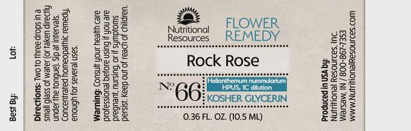 Nutritional Resources Flower Remedy Rock Rose