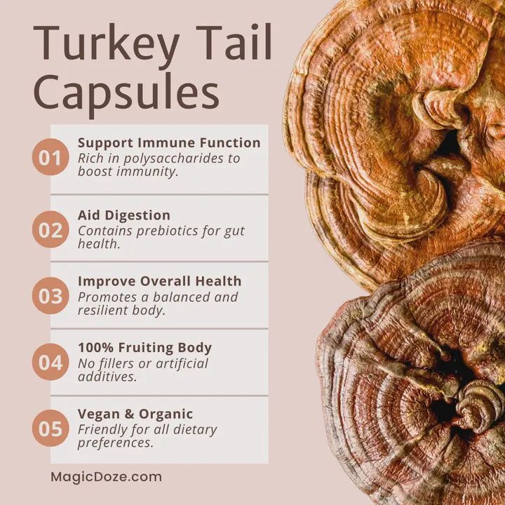 Turkey Tail Mushroom Capsules - Shield By Magic Doze™