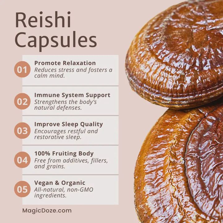 Reishi Mushroom Capsules - Unwind By Magic Doze™