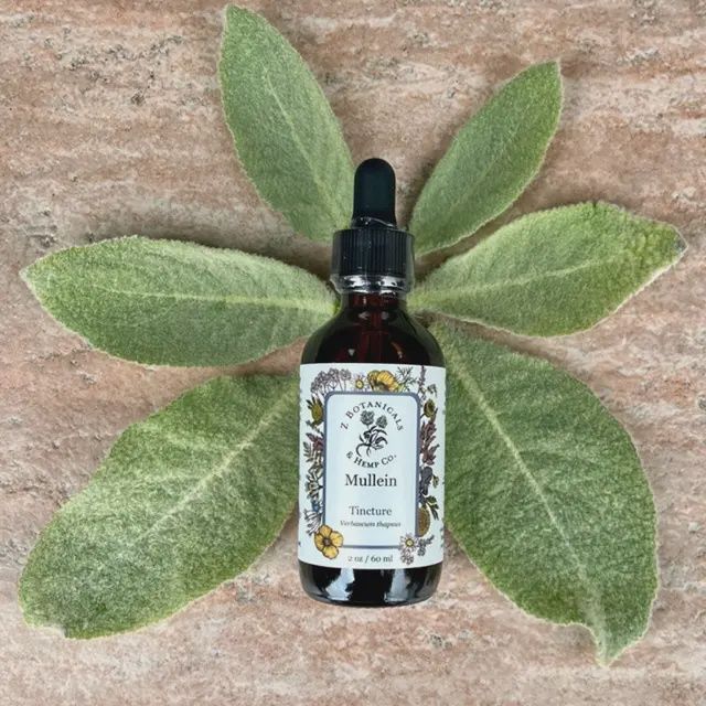 Mullein Tincture