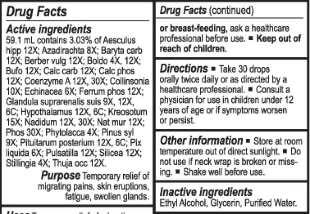 Lymph-Tone II Energetix