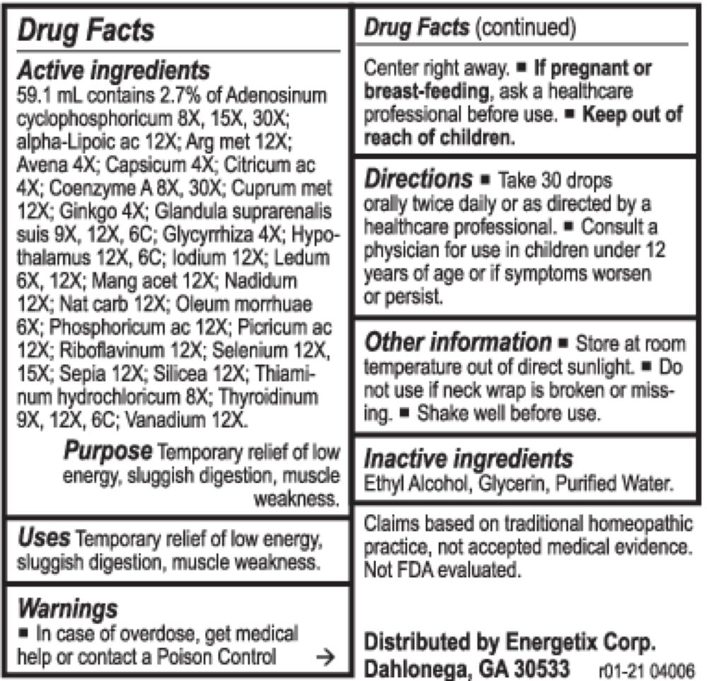 Energetix Adaptopath