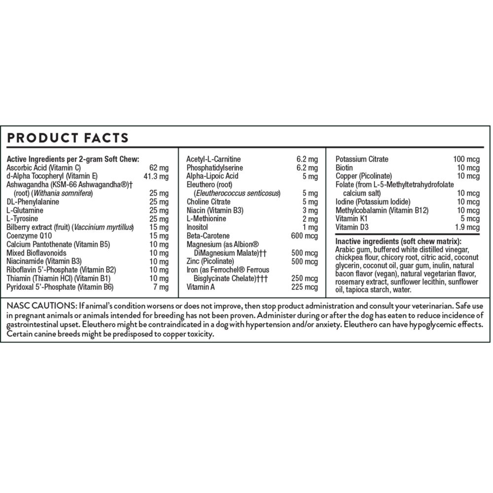 Canine Geriatric Basics