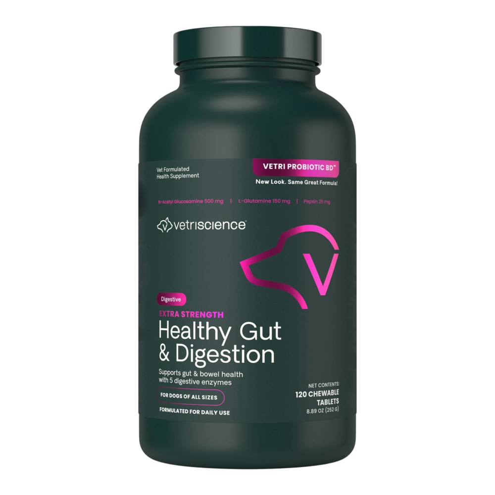 Extra Strength Healthy Gut &amp; Digestion for Dogs