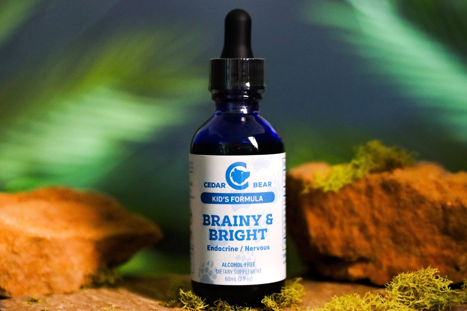 Brainy &amp; Bright for Kids