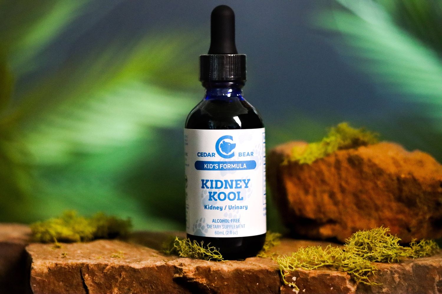 Kidney Kool for Kids