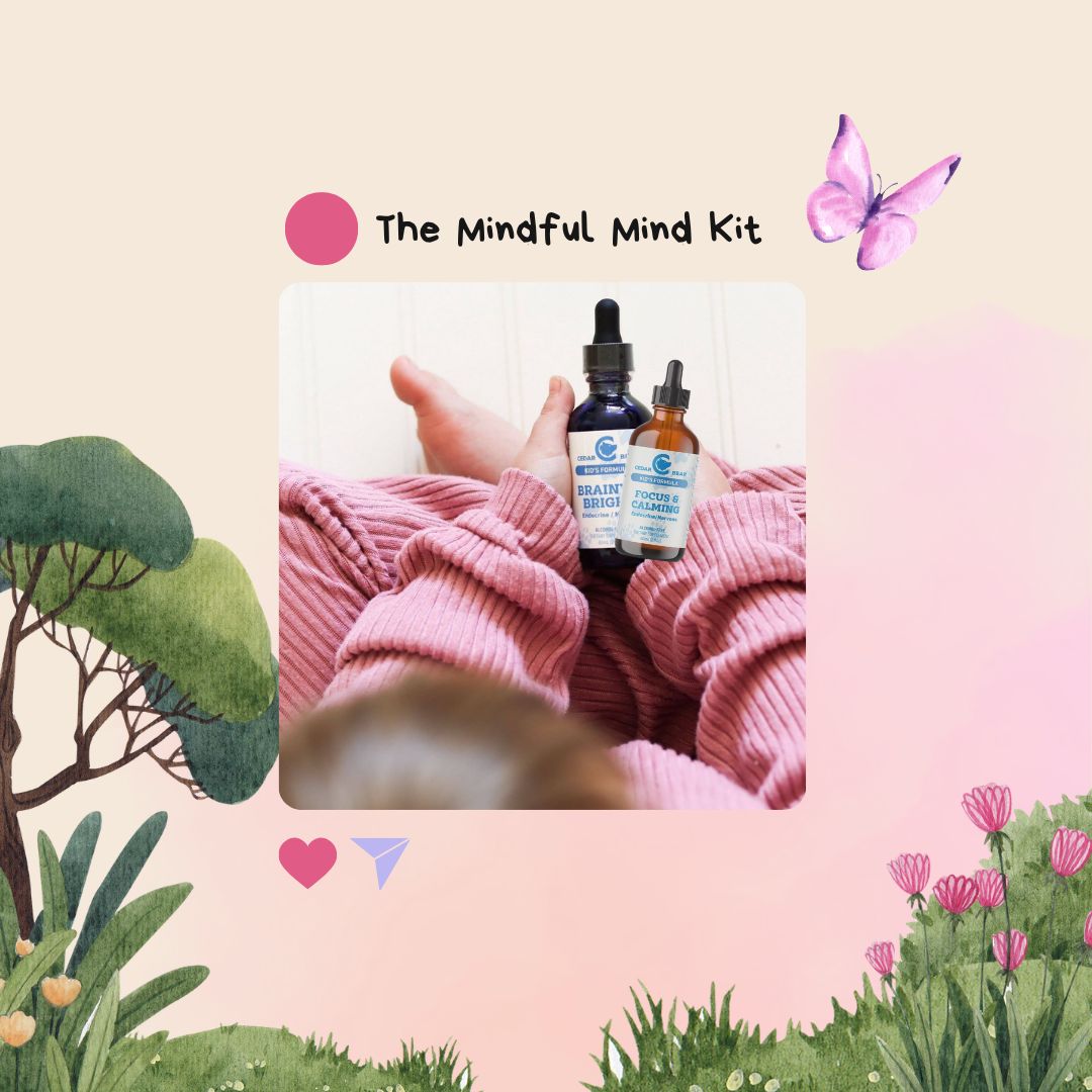 The Mindful Mind Kit