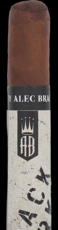 ALEC BRADLEY BLACK MARKET - PETITE CORONA SINGLE