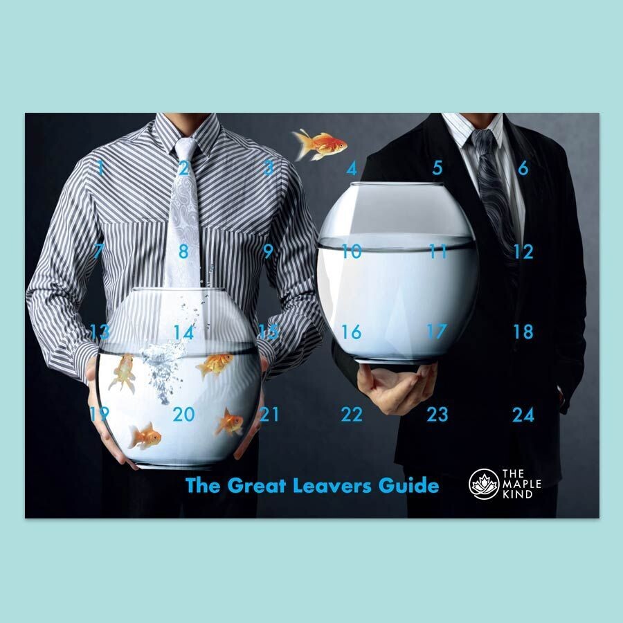 The Great Leavers Guide